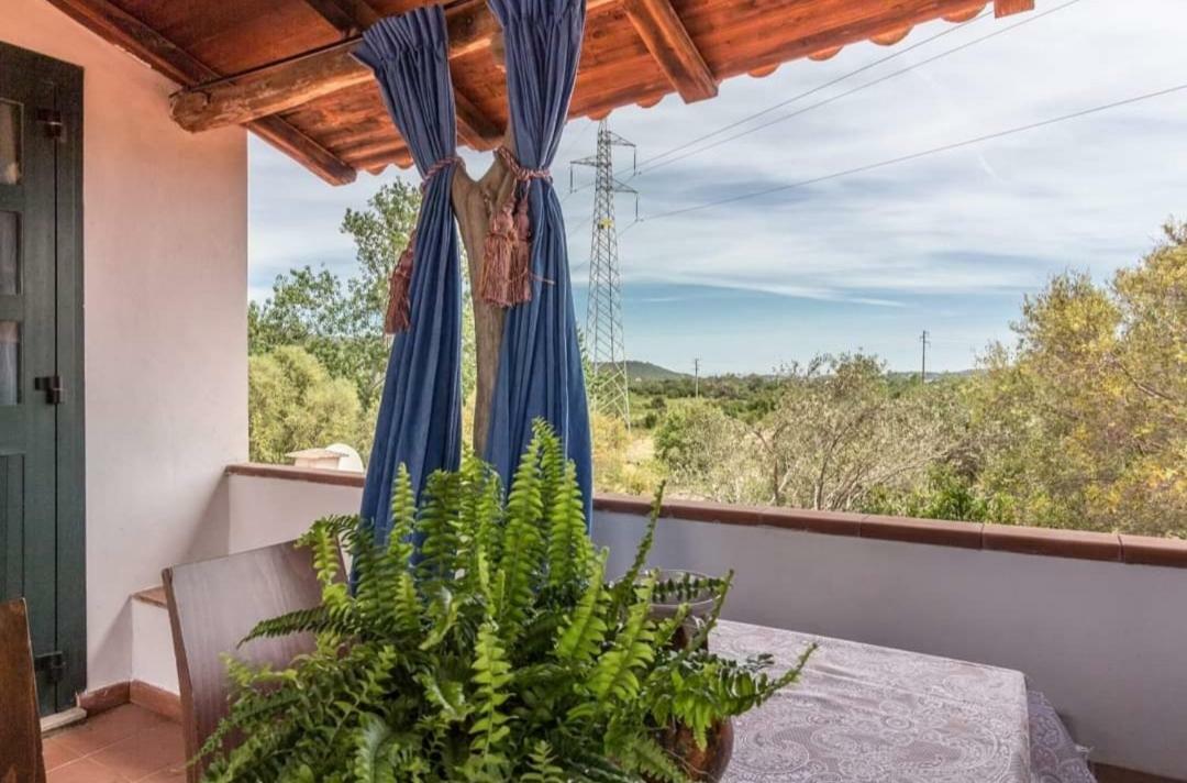 Il Falco Casa Vacanze - Cugnana - Porto Rotondo Kültér fotó